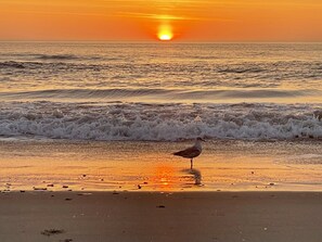 Perto da praia