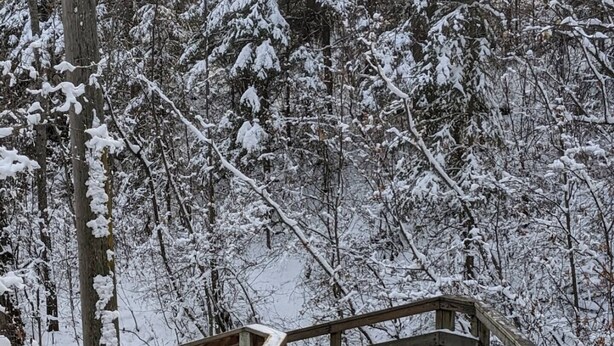 Un pont en bois dans une forêt enneigée.