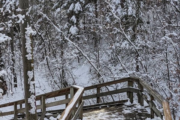 Take a stroll with fresh air in the Patricia Ravine