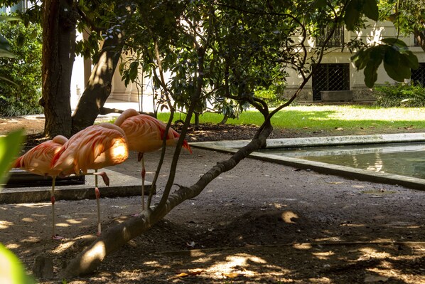Un parc avec un étang, des arbres et une statue.