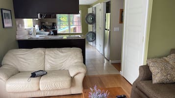 TV connectée, cheminée