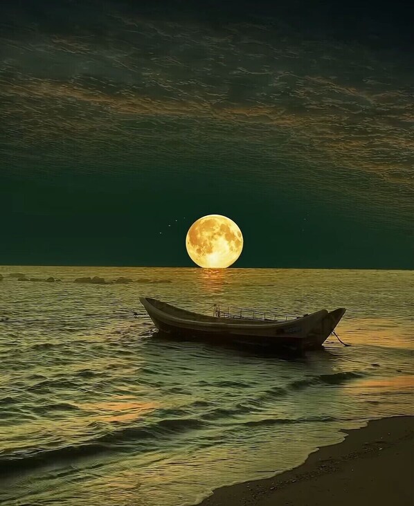 بالقرب من الشاطئ