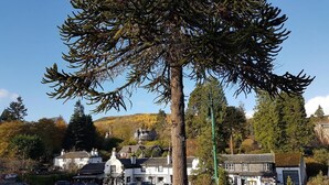 Unclassified image, 4 of 12, button - OYO Mackay'S Travel Lodge Hotel (Strathpeffer)