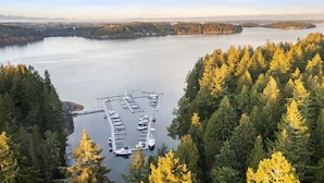 A marina with boats docked, surrounded by dense forest and a large body of water.