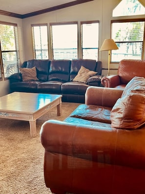 Smart TV, fireplace, DVD player, video library