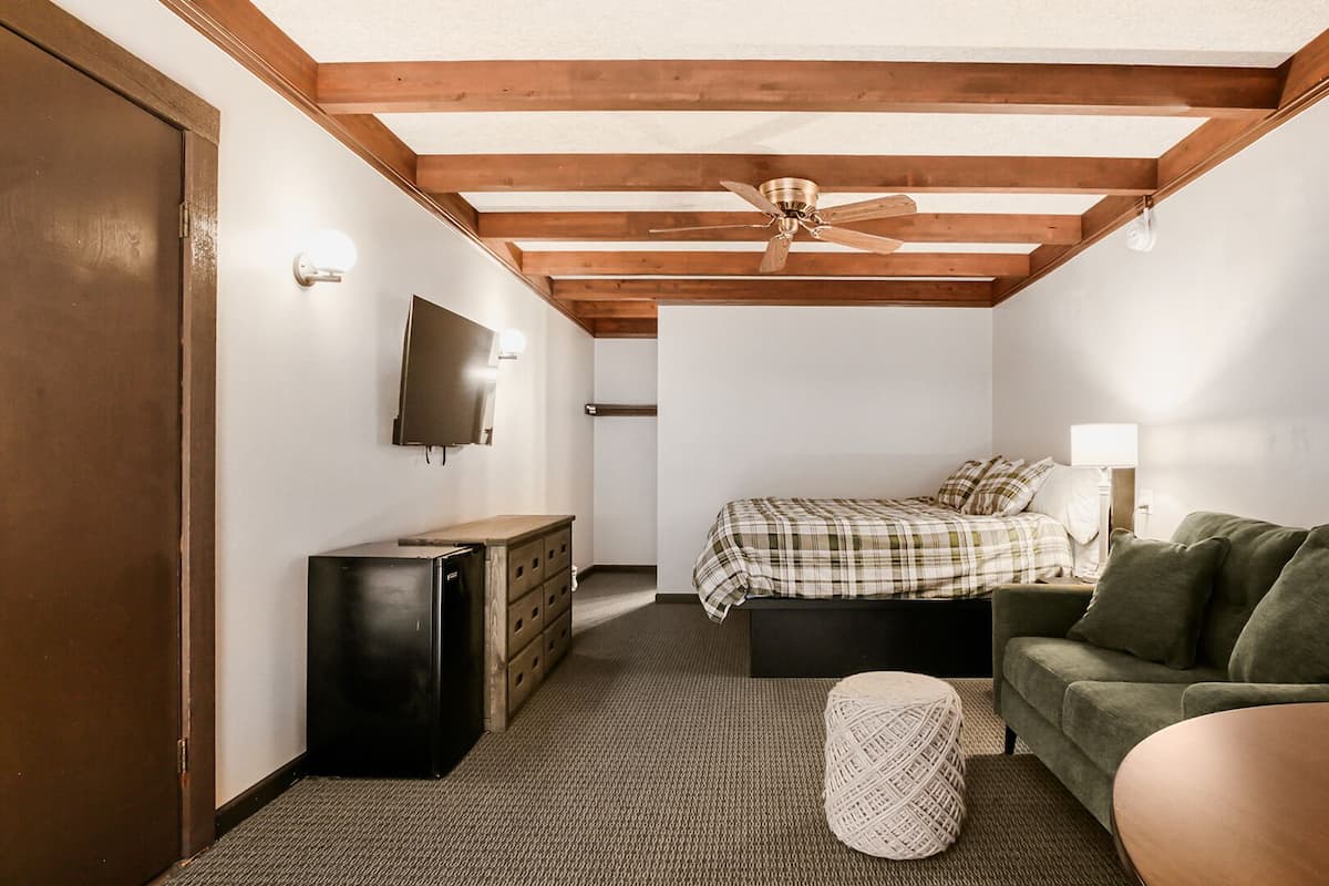 Family Studio Suite, Multiple Beds | Desk, iron/ironing board, free WiFi, bed sheets