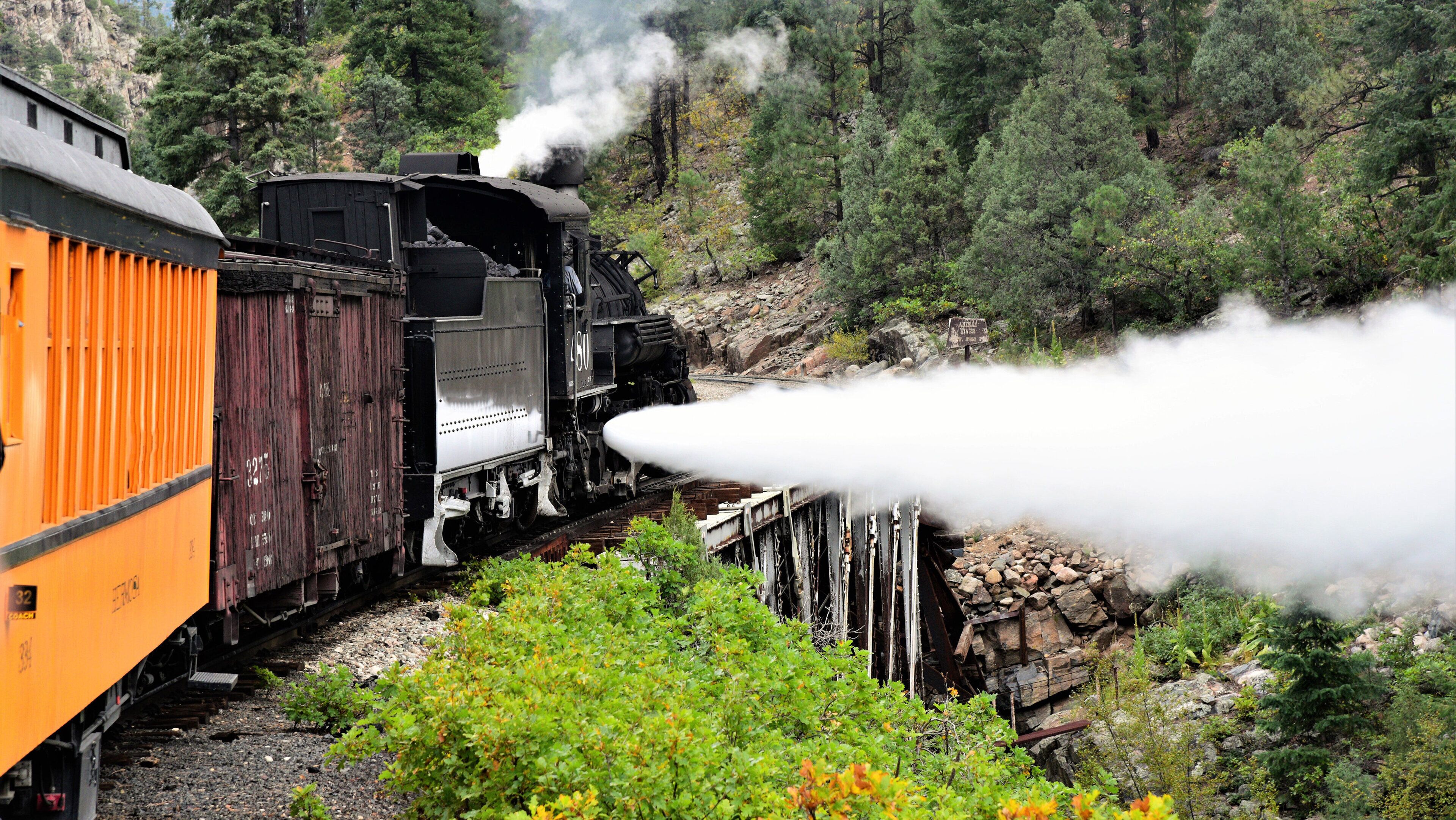 Une locomotive à vapeur, tirant un wagon de marchandises et un wagon de voyageurs, traverse une zone boisée.