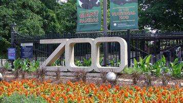 L’entrée d’un zoo, avec une grande enseigne indiquant « ZOO », est entourée d’un jardin où poussent des fleurs oranges.
