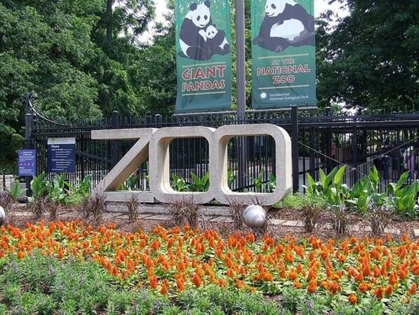 Entrada a un zoológico con un gran letrero que dice 'ZOO', rodeada por un jardín con flores naranjas.