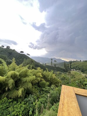 Un paisaje exuberante y verde con una terraza de madera y vistas a colinas y árboles distantes.