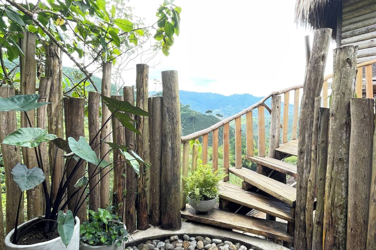 A wooden deck with a stone pathway, potted plants, and a thatched-roof structure.
