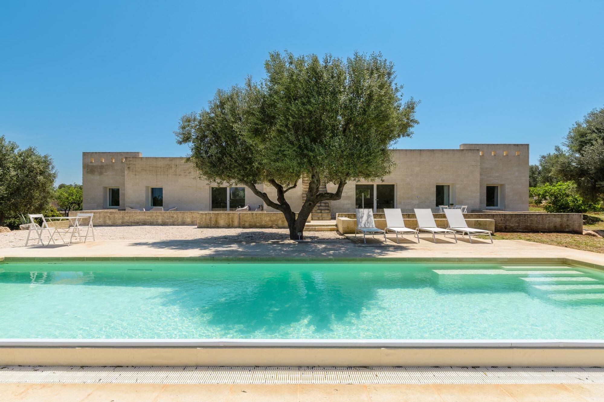 A modern building with a pool, surrounded by lounge chairs and a tree.