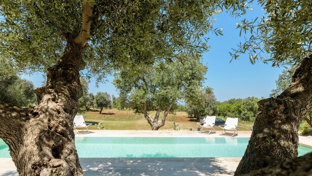 A pool area with lounge chairs and trees. - Villa La Guaceta by Wonderful Italy (Carovigno)