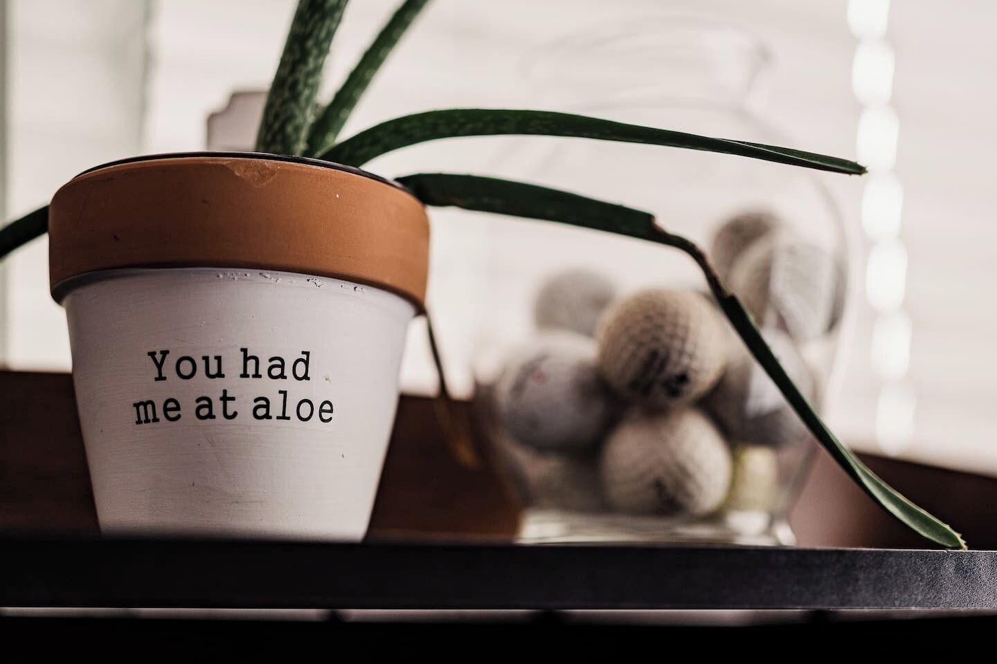 Une plante en pot portant un message, placée sur une étagère avec un arrière-plan flou.