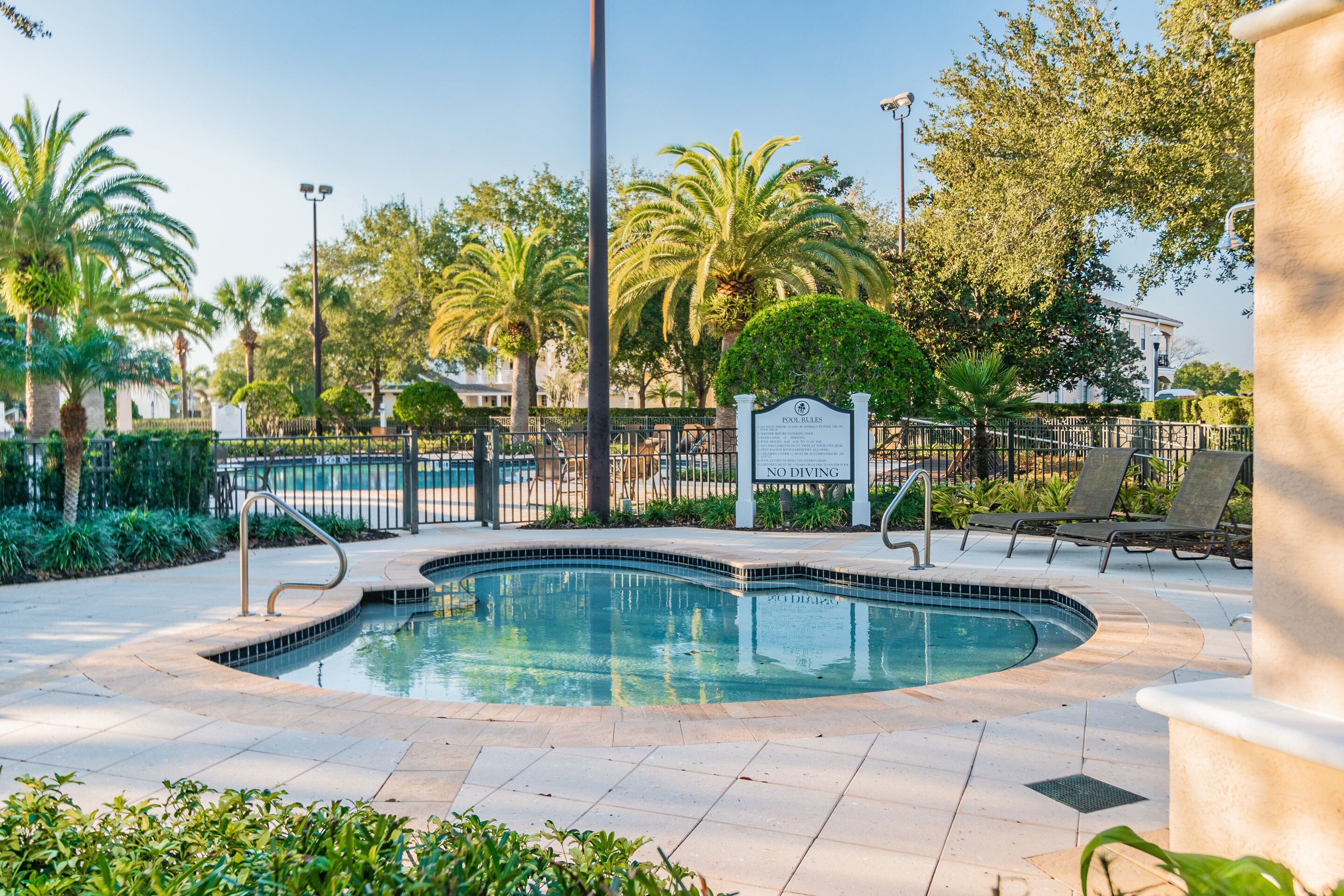 A swimming pool with a no diving sign, surrounded by palm trees and lounge chairs.