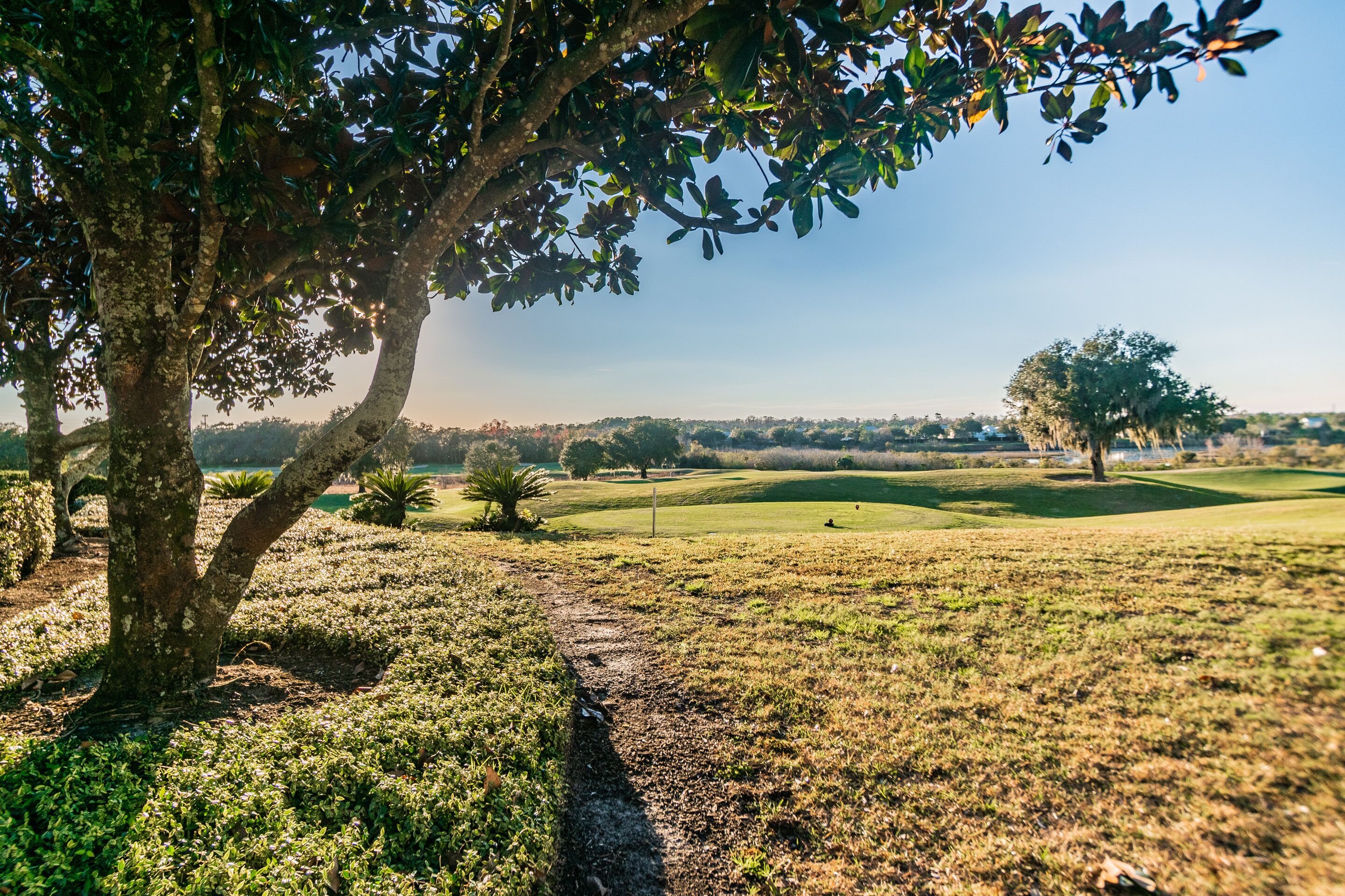 Ein Golfplatz mit baumgesäumtem Weg, offenen Rasenflächen und weiter Baumlandschaft im Hintergrund.