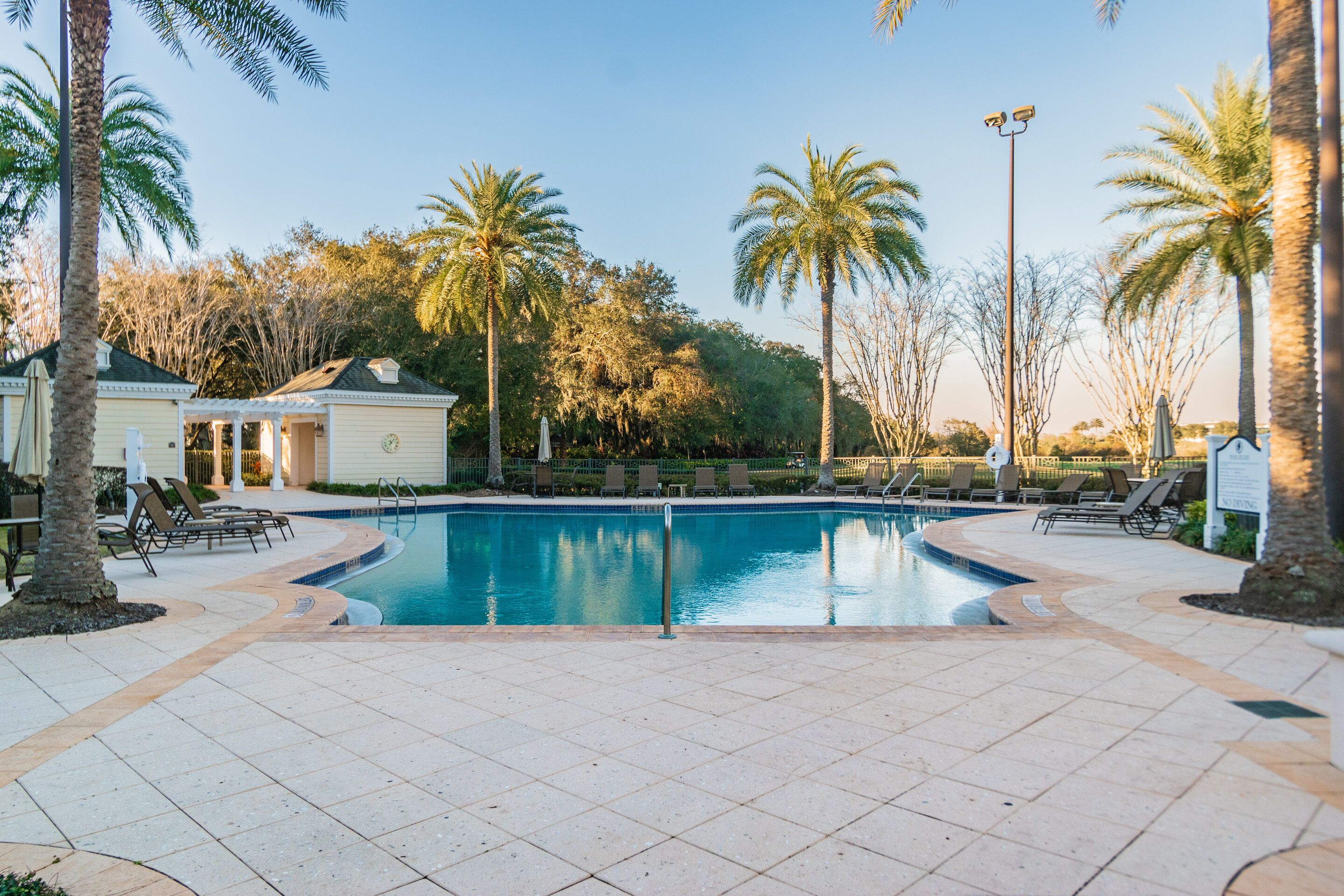 Una piscina con sillas de descanso y palmeras.