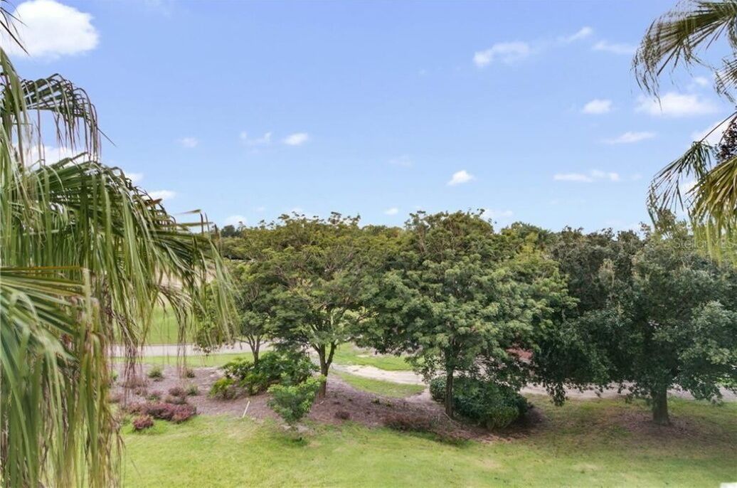 A landscaped garden with various trees and shrubs.