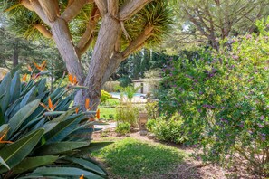 Property grounds - Papalaya (Puerto Pollensa)