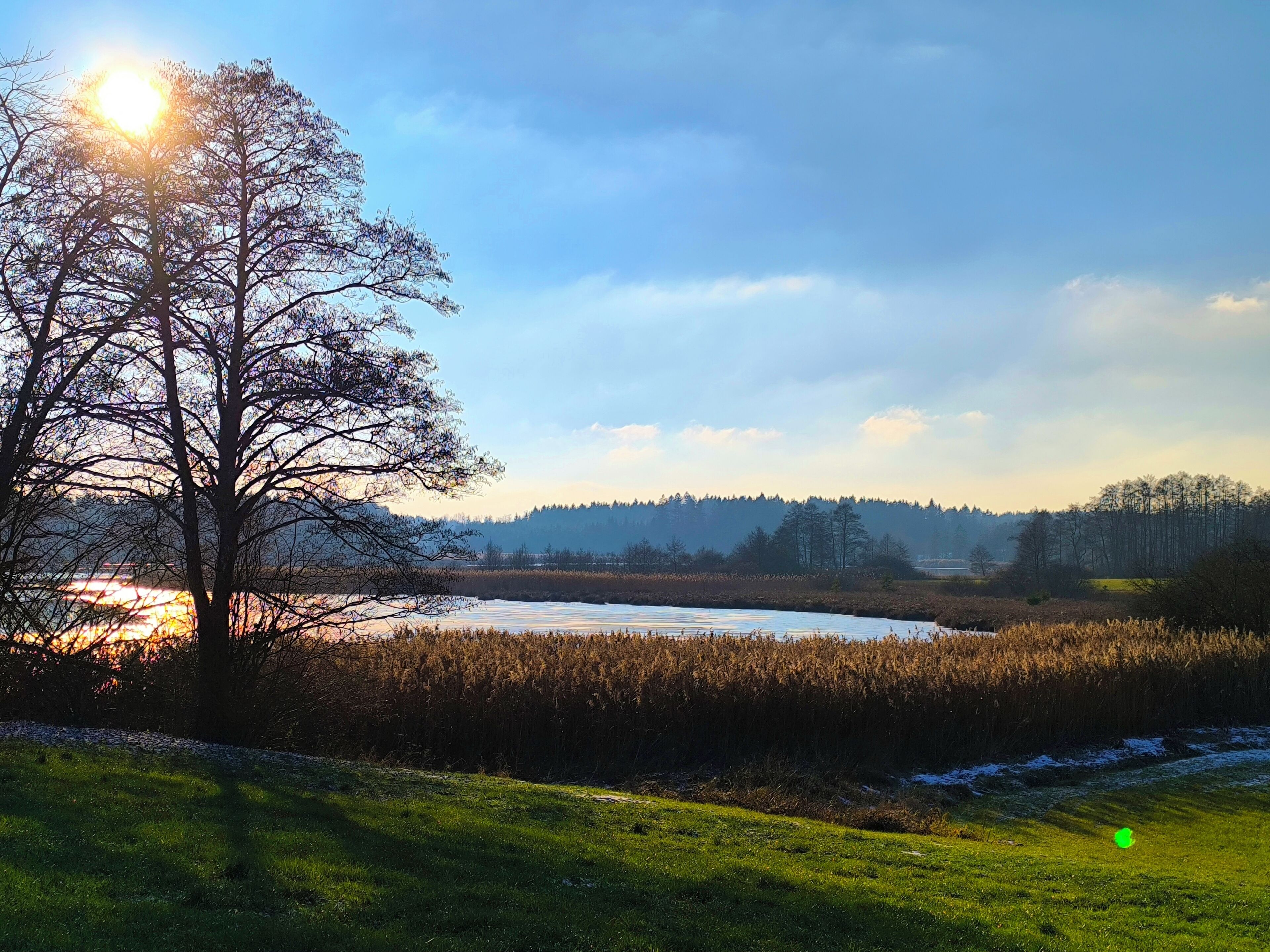 A landscape with a tree, a body of water, and a distant hill.