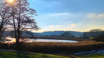 A landscape with a tree, a body of water, and a distant hill.