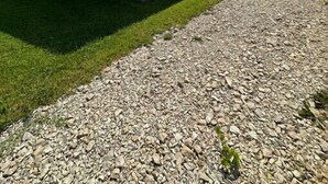 Ein kleines Backsteingebäude mit Veranda, einem Rasen und einer Schotterzufahrt.