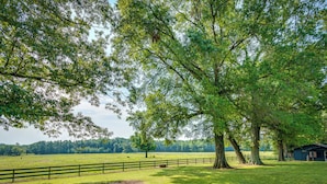 Un paysage rural avec un grand arbre, un champ clôturé et un petit bâtiment.