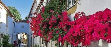 المنطقة المحيطة بالمنشأة