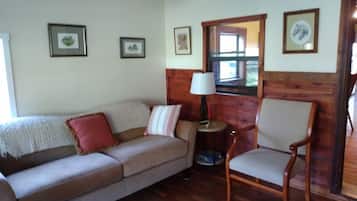 Televisión, chimenea, reproductor de DVD y libros