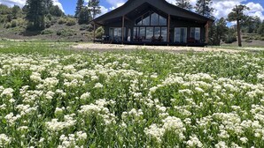 Une maison moderne aux grandes fenêtres, entourée d’un champ de fleurs blanches, sous un ciel partiellement nuageux.