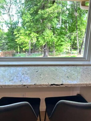 Interior - Sunny Bird Sanctuary; 3 King Bds; Bike Dwntwn; EV (Macon)