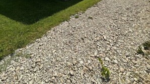 A small brick building with a porch, a gravel driveway, and a grassy lawn. - Quiet Cottage located in the heart of Burr Oak State Park - #4 (Glouster)