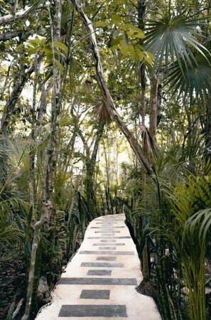 Áreas de la propiedad