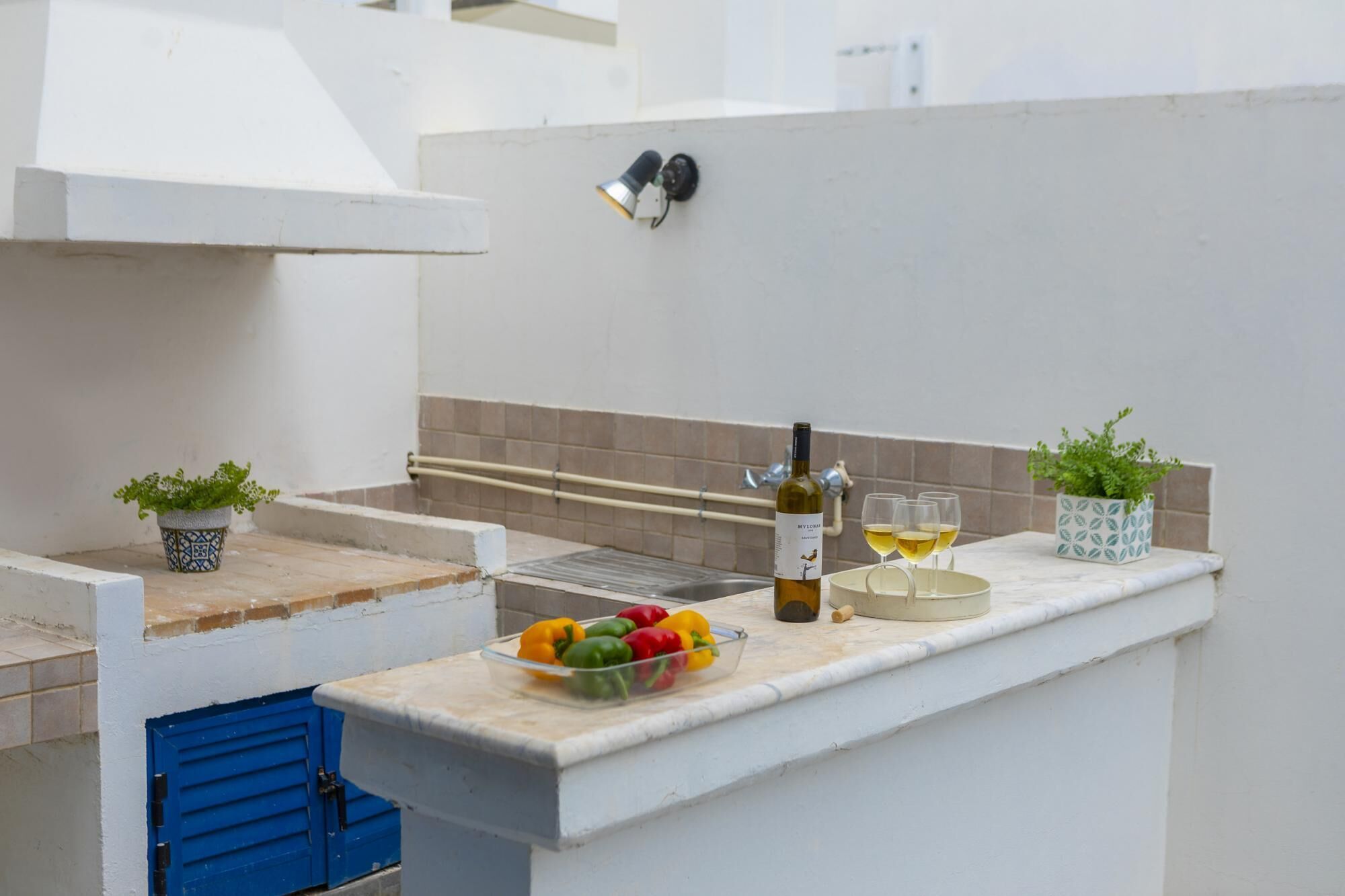 A small outdoor kitchen with a white countertop, a bottle of wine, and glasses. There are two potted plants and a blue shutter door.