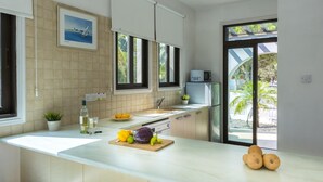 A modern kitchen with a large island, a microwave, and a sink. There is a window with a view of palm trees and a beach. - Villa Alexa Protaras (Paralimni)