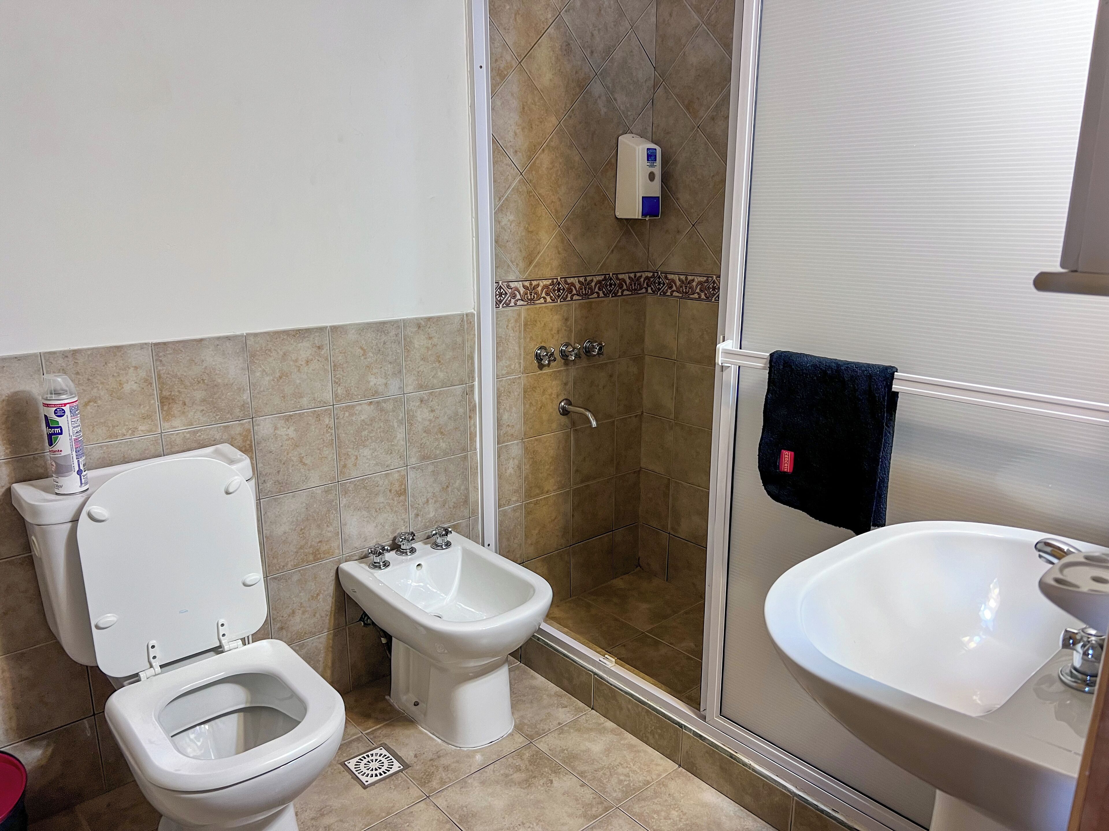 A bathroom with a toilet, bidet, shower, and sink.