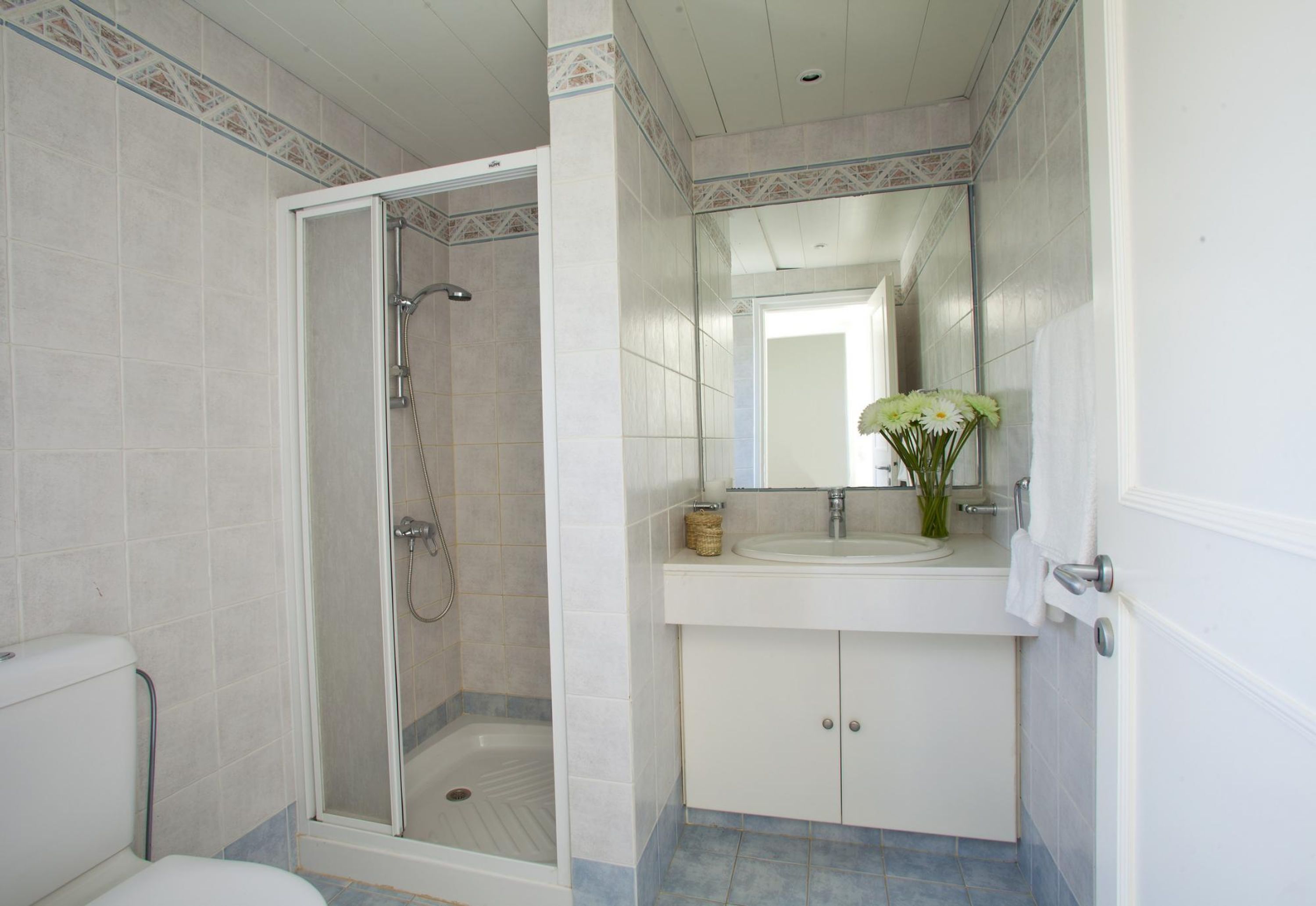 Un baño con ducha de vidrio, lavabo con espejo e inodoro.
