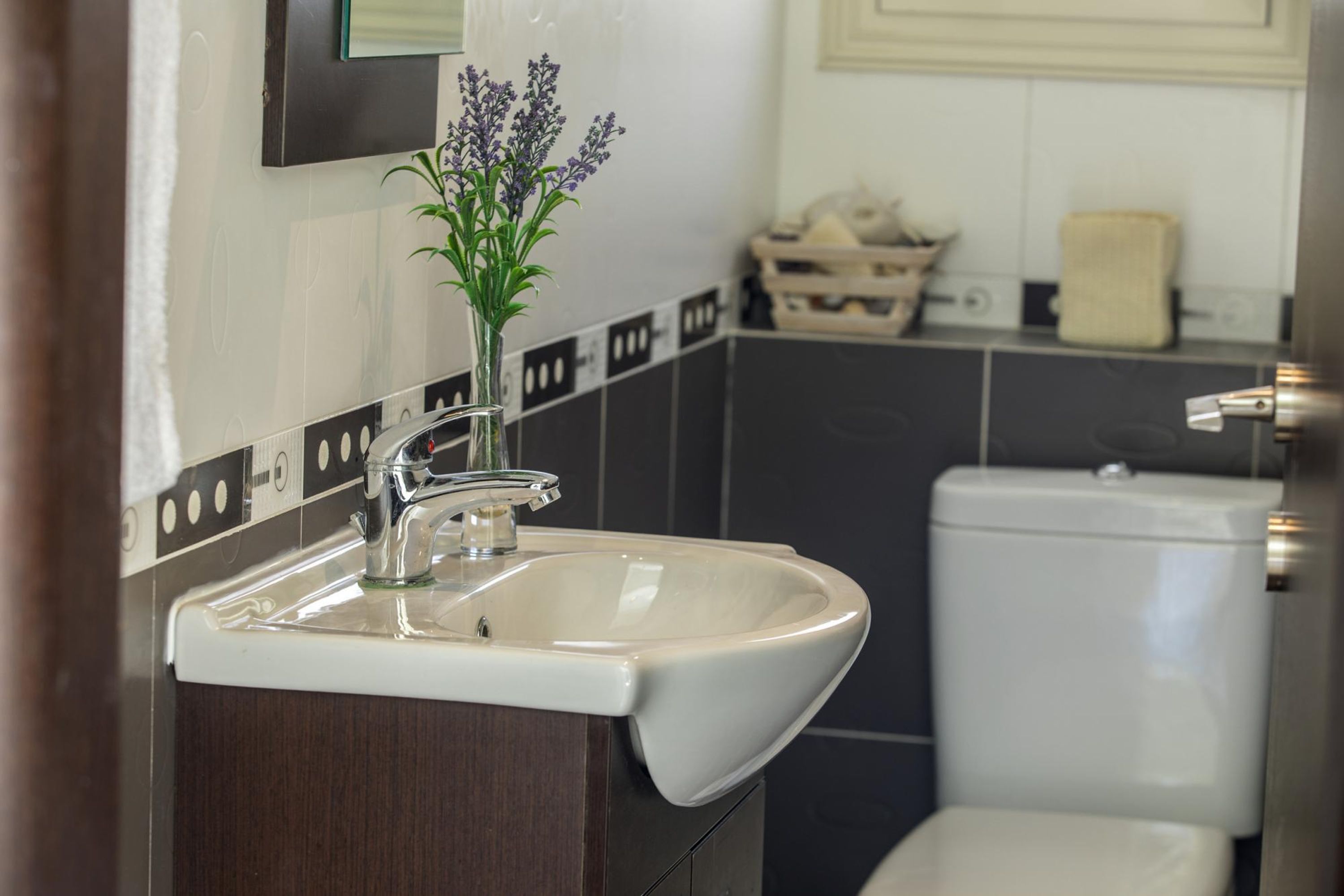 A bathroom with a sink, toilet, and a small plant on the wall.