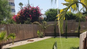 A well-maintained lawn with a variety of tropical plants and a wooden fence in the background. - Villa Michelle 8 in Protaras (Paralimni)