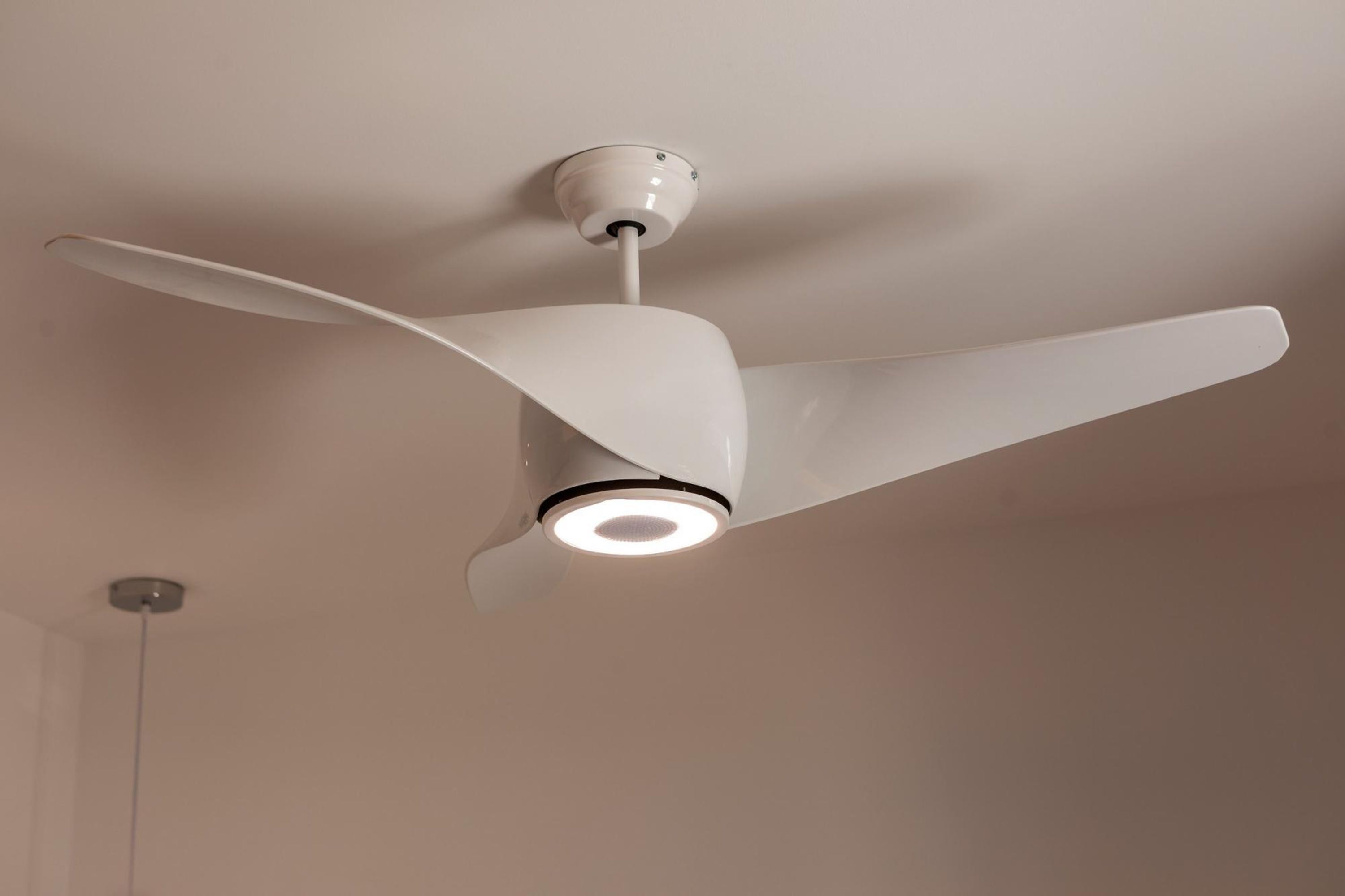 Foto - Protaras Rose By The Sea Villa