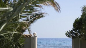 Une vue sur la plage, aperçue à travers une porte, avec des palmiers et une zone herbeuse parsemée de fleurs.