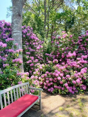 Property grounds - Craigville Beach Uber Relaxing Cape Cod Beach House w/ Beach Pass & Central Air (Barnstable)