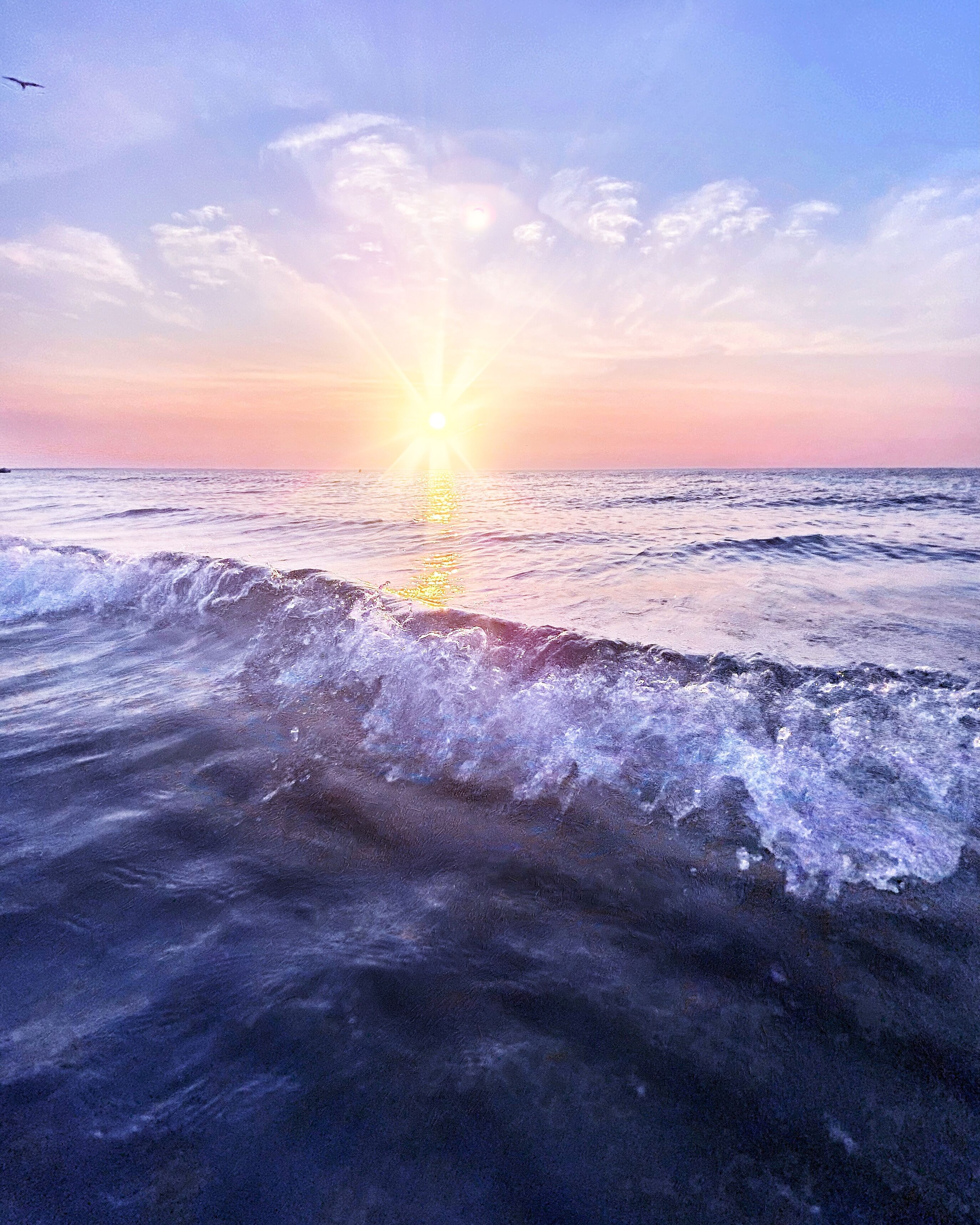 Plage à proximité, chaises longues, serviettes de plage