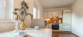 Tevini Alpine Apartments - Schmittenblick