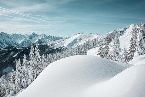 A snow-covered mountain landscape with dense forests and clear skies. - Appartements Sulzer - TOP 13 (Zell am See)