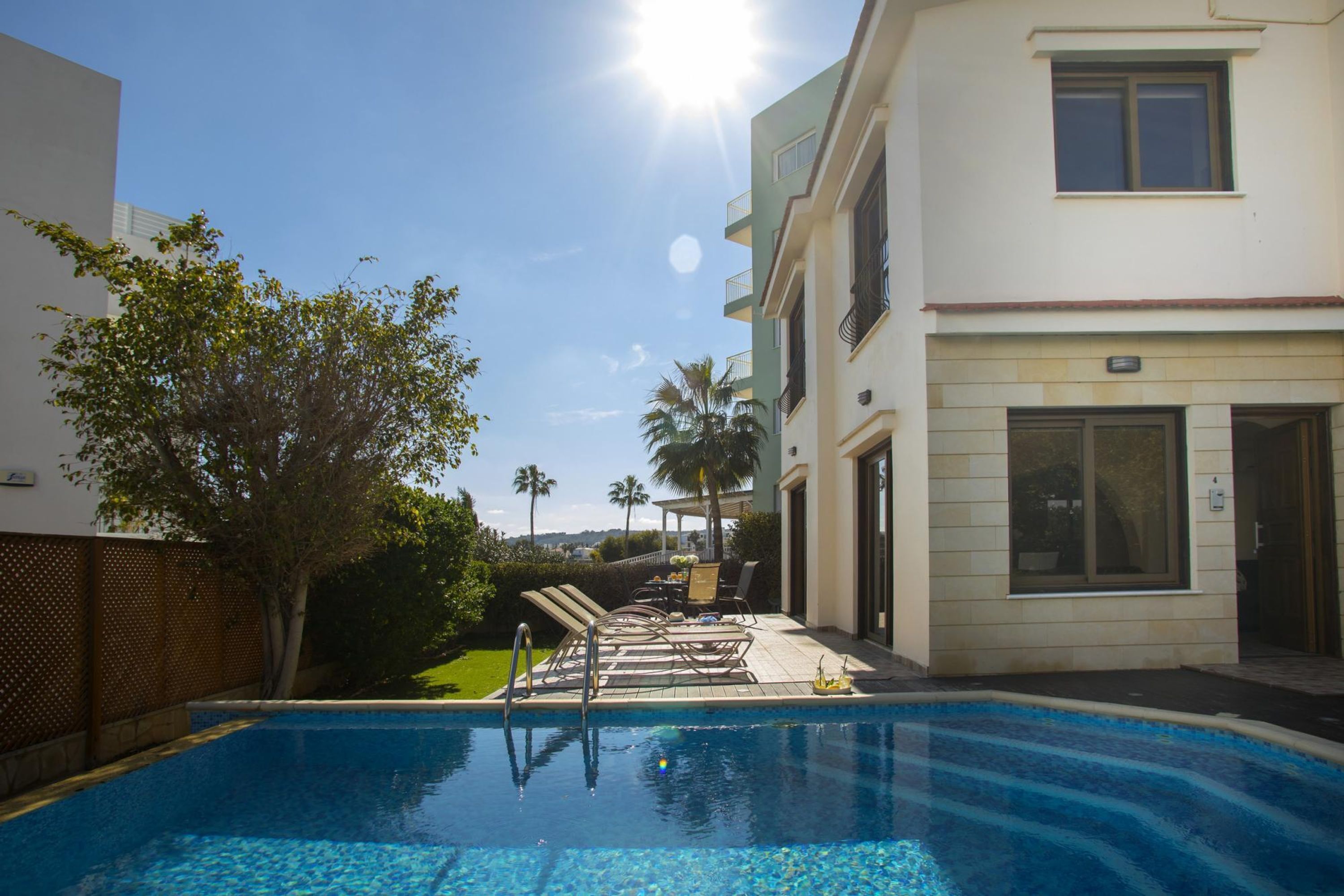 A swimming pool with lounge chairs and a palm tree.