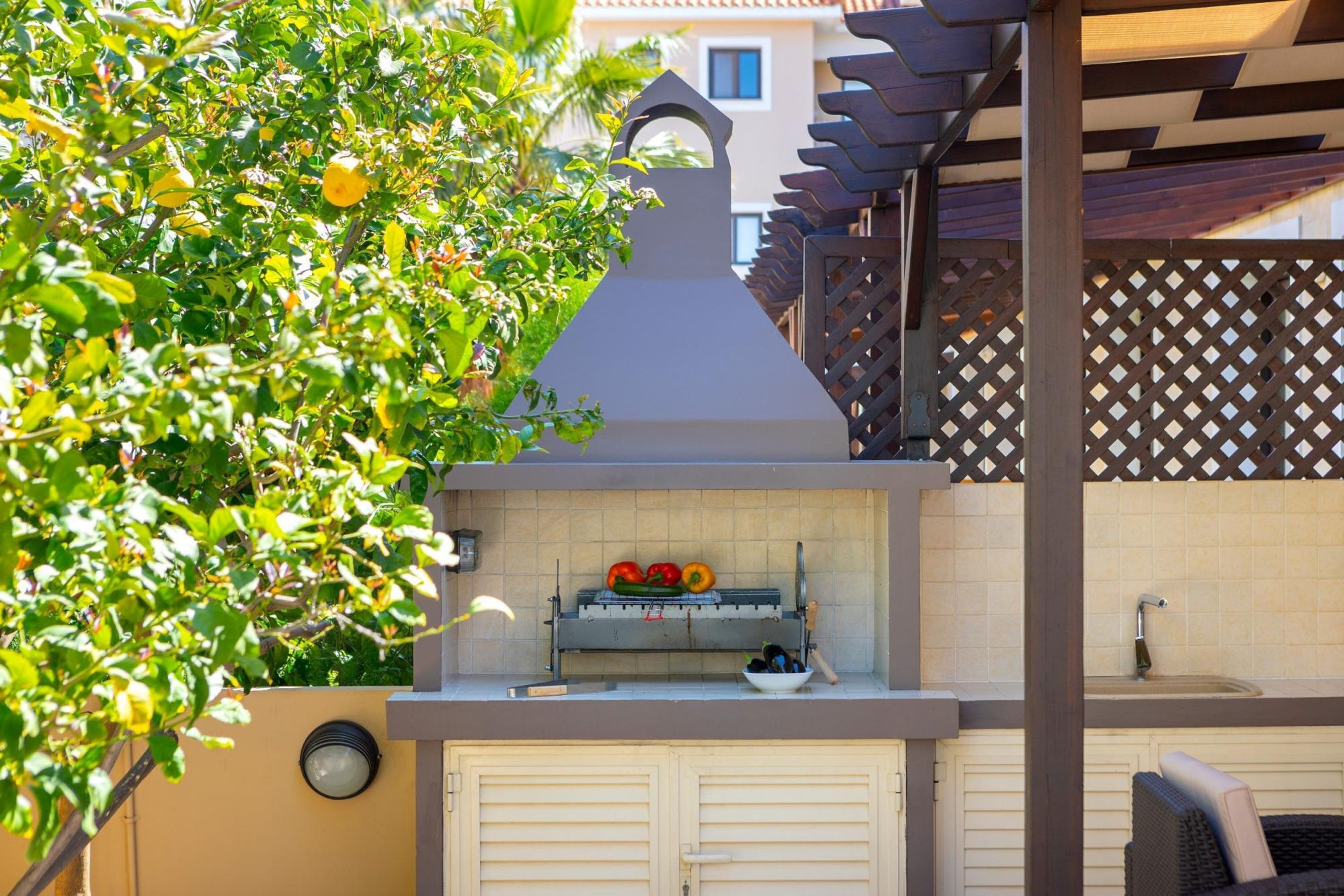An outdoor kitchen with a grill, a sink, and a window overlooking a garden.