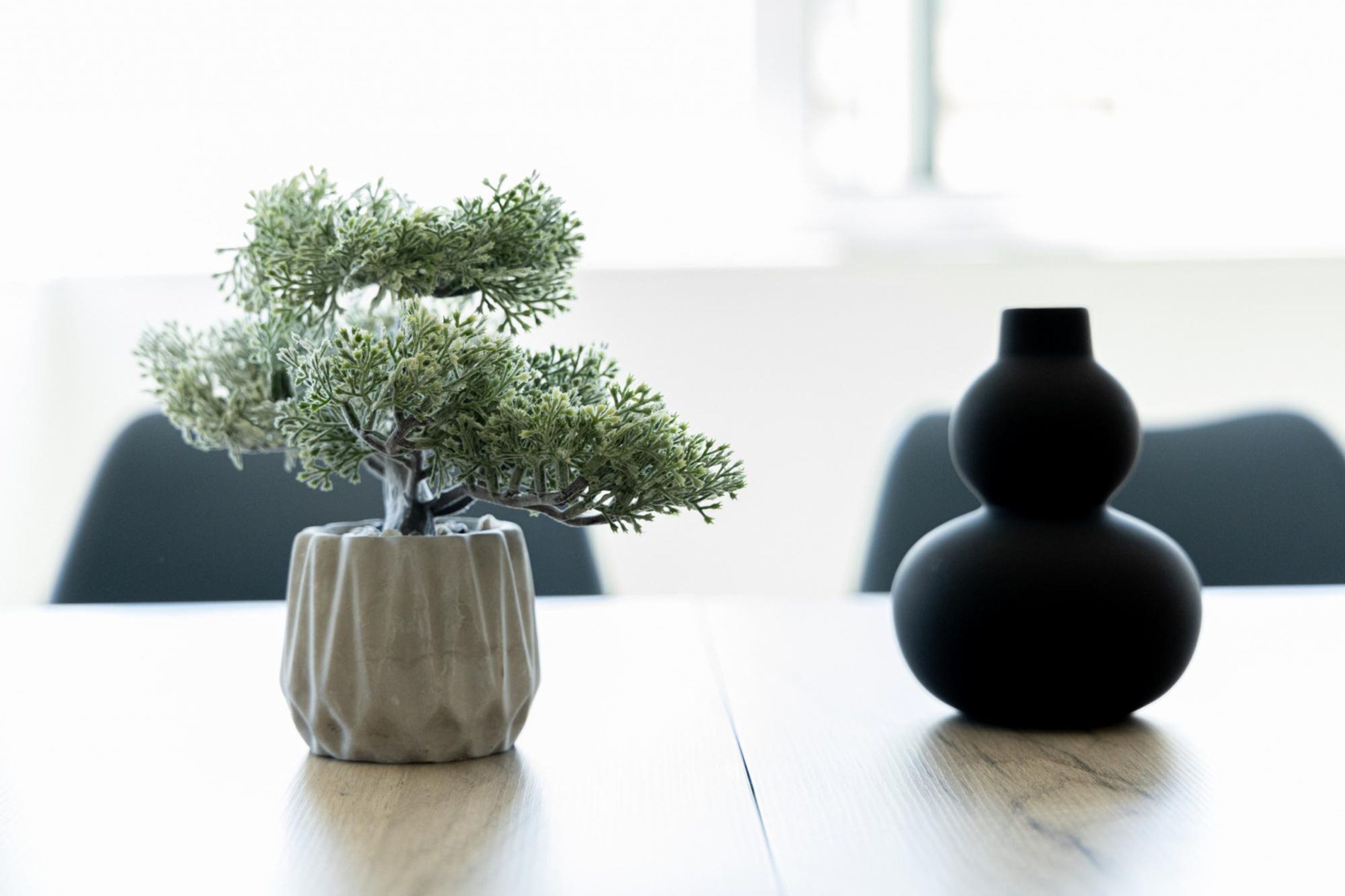 A bonsai tree in a ceramic pot on a wooden table.
