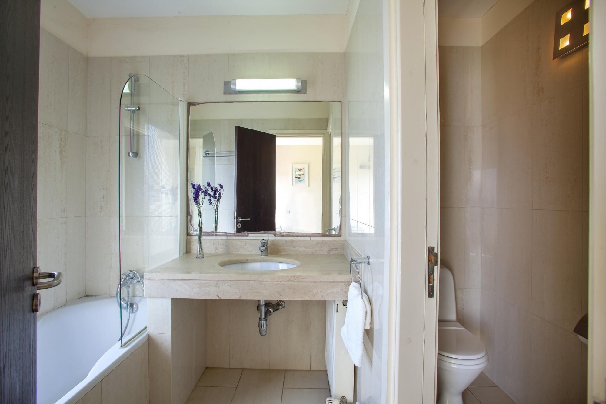 A bathroom with a glass shower enclosure, a sink with a mirror above it, and a toilet.