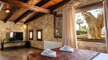 Vila | 1 kamar tidur